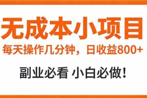 无成本小项目 每天操作几分钟，真实日收益800+ 副业必看 小白必做！