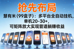 抢先布局慧有米(99盒子)：多平台全自动挂机，单机20-30+，可矩阵实现管道躺赚