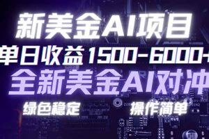 日赚1500-6000+，新美金 AI 对冲项目，合规稳定，小白易上手，创业副业优选，可复制放大