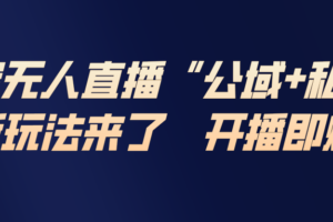 淘宝无人直播最新玩法，包含私域和公域两种玩法