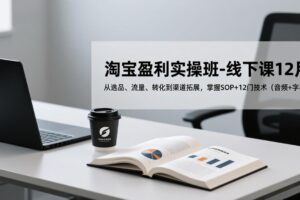 淘宝盈利实操班-线下课12月，从选品、流量、转化到渠道拓展，掌握SOP+12门技术(音频+字幕