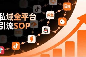 私域全平台引流SOP，抖音/快手/小红书/微信/QQ/B站/闲鱼等，技术合集，高效转化公域流量