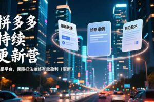 拼多多持续更新营，最新玩法、诊断案例、前沿技术，紧跟平台，保障打法始终有效盈利(更新