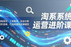 淘系系统运营进阶课2.0，流程规范、工具教学、实战诊断，进阶突破，打造高盈利店铺模型