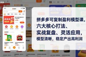 拼多多可复制盈利模型课，六大核心打法、实战复盘、灵活应用，模型清晰，稳定产出高利润