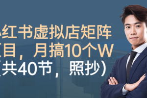 小红书虚拟店矩阵项目，月搞10W(共40节，照抄照做)