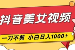 抖音美女视频，一刀不剪，两分钟一条视频，小白轻松上手，日入1000