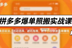 拼多多爆单照搬实战课，类目玩法、活动选择、避坑指南，新手小白快速出单赚钱