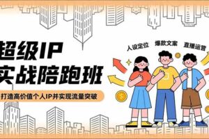 超级IP实战陪跑班，人设定位、爆款文案、直播运营，打造高价值个人IP并实现流量突破