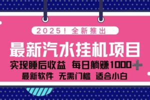 2025最新汽水音乐挂机项目 每天几分钟 轻松上w