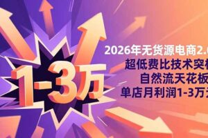 2026年无货源电商2.0【更新】：超低费比技术突破自然流天花板，单店月利润1-3万元