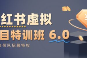 小红书虚拟项目特训课8.0，帮你从0到1打造稳定盈利的店铺，抓住流量红利(更新3月)