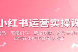 小红书运营实操课：选品、笔记创作、流量获取、起号变现等，让你在小红书轻松获收益
