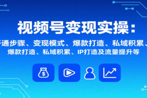 视频号变现实操，含开通步骤、变现模式、爆款打造、私域积累、IP打造及流量提升等