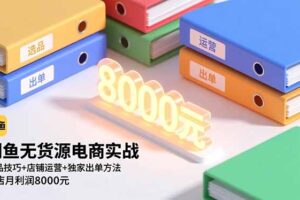 闲鱼无货源电商实战，选品技巧+店铺运营+独家出单方法，单店月利润8000元