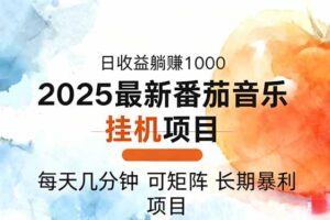 2025年最新番茄音乐人挂机项目，每天几分钟，月入1000＋，可矩阵，一台…