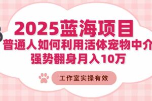 2025蓝海项目：普通人如何利用活体宠物中介，强势翻身月入10万