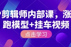 IP剪辑师内部课，涨粉跑模型+挂车视频(更新)