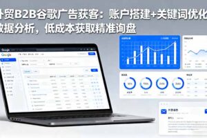 外贸B2B 谷歌广告获客：账户搭建+关键词优化+数据分析 低成本获取精准询盘