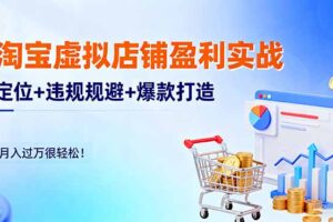淘宝虚拟店铺盈利实战：定位+违规规避+爆款打造，月入过万很轻松！