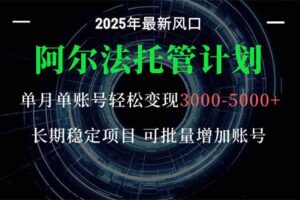 阿尔法托管计划 单账号月入3000-5000，长期稳定项目，新手小白轻松上手。