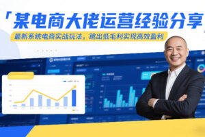 某电商大佬运营经验分享，最新系统电商实战玩法，跳出低毛利实现高效盈利(更新)