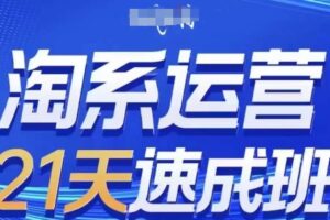 淘系运营21天速成班，0基础轻松搞定淘系运营，不做假把式，快速复制落地(更新26年2月)