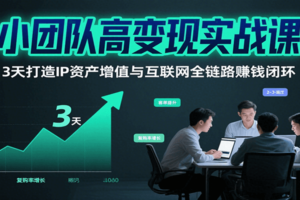 小团队高变现实战课，3天打造IP资产增值与互联网全链路赚钱闭环(第二期)