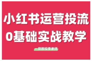 小红书运营投流，小红书广告投放从0到1的实战课，学完即可开始投放(更新26年)