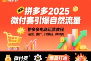 拼多多微付费引爆自然流量，拼多多电商运营教程，运营、推广、打爆品、微付费(更新26年2月)