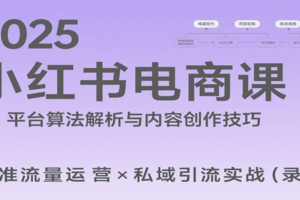 2025小红书电商课：解析算法，创作高转化内容，助力卖家获取流量实现变现(录音)