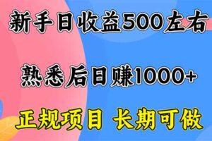 新手日收益500+ 正规项目 长期可做