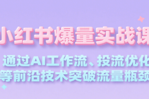小红书爆量实战课，通过AI工作流、投流优化等前沿技术突破流量瓶颈