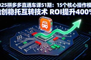 2025拼多多直通车课51期：15个核心操作模块 独创稳托互转技术 ROI提升400%