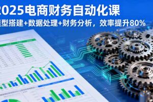 2025电商财务自动化课，模型搭建+数据处理+财务分析，效率提升80%