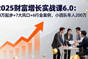 2025财富增长实战课6.0：10万起步+7大风口+6行业案例，小团队年入200万