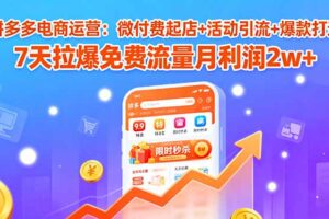 拼多多电商运营：微付费起店+活动引流+爆款打造 7天拉爆免费流量月利润2w+