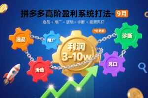 拼多多高阶盈利系统打法-9月：选品+推广+活动+诊断+最新风口，月利润3-10w