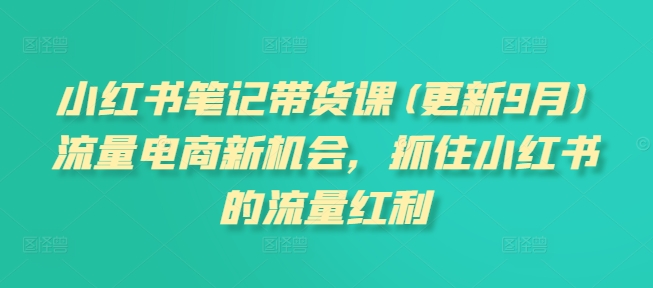 小红书笔记带货课，流量电商新机会，抓住小红书的流量红利(更新26年2月)