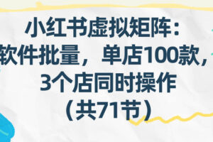 小红书虚拟矩阵：软件批量发笔记，单店100款，3个店同时操作(共71节)