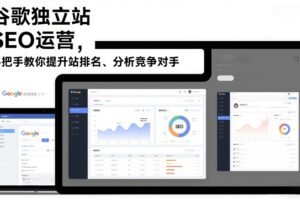 谷歌独立站SEO运营，手把手教你提升网站排名、分析竞争对手(更新2026)