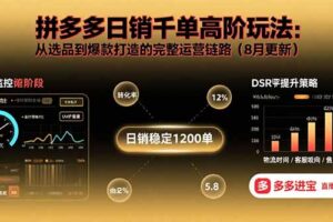 拼多多日销千单高阶玩法：从选品到爆款打造的完整运营链路(8月更新