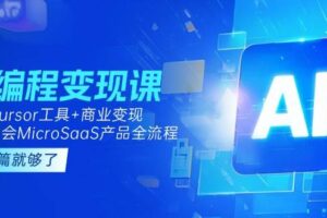 AI编程变现课：掌握Cursor工具+商业变现，一年学会MicroSaaS产品全流程