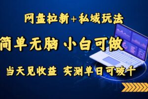网盘拉新+私域玩法，简单无脑，小白可做，当天见收益，实测单日可破千