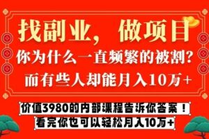价值3980的网创内部课程，告诉你互联网创业月入10个W的秘密【揭秘】