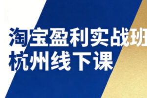 淘宝盈利实战班杭州线下课12月26-28日(音频+字幕)，帮你掌握SOP流程+12门核心技术
