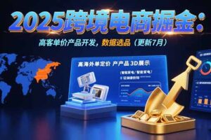 2025跨境电商掘金：蓝海市场定位，高客单价产品开发，数据选品(更新7月