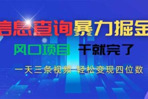 信息查询暴力掘金，一天三条视频 轻松变现四位数，风口项目干就完了
