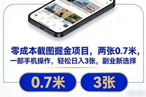 零成本截图掘金项目，两张0.7米，一部手机操作，轻松日入3张，副业新选择【揭秘】