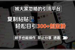 被大家忽略的引流平台，复制粘贴轻松日引300+创业粉，新手也能操作，禁…